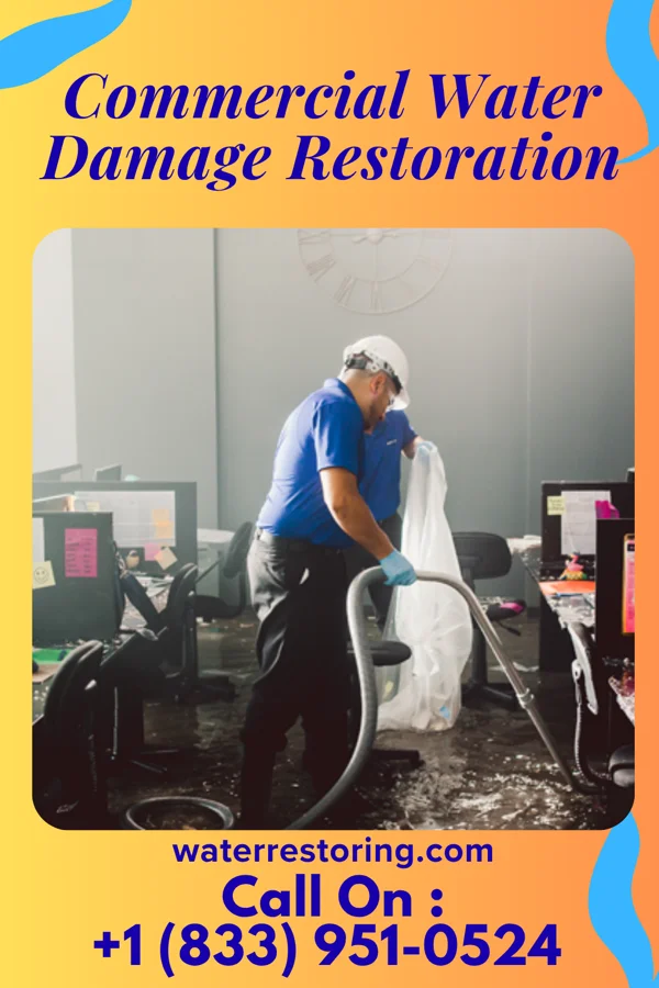 Commercial Water Damage Restoration in Moose Lake, MN