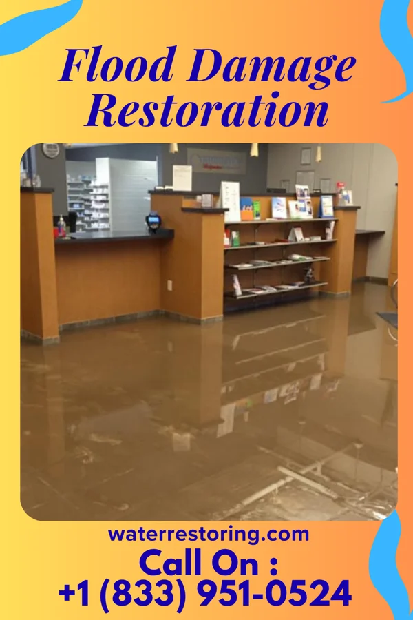 Flood Damage Restoration in Moose Lake, MN