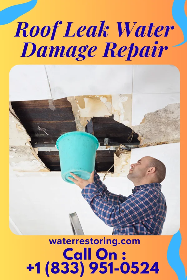 Roof Leak Water Damage Repair in Moose Lake, MN